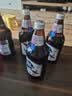 蓝带（Blue Ribbon）小蓝王啤酒 11度640ml*12瓶整箱装 实拍图