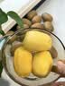 佳沛（zespri）新西兰金奇异果10粒巨大果146-175g猕猴桃水果礼盒 实拍图