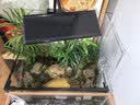 坤宁王鱼缸过滤器壁挂式瀑布过滤泵循环三合一外置小型静音3.5W瀑布增氧 实拍图