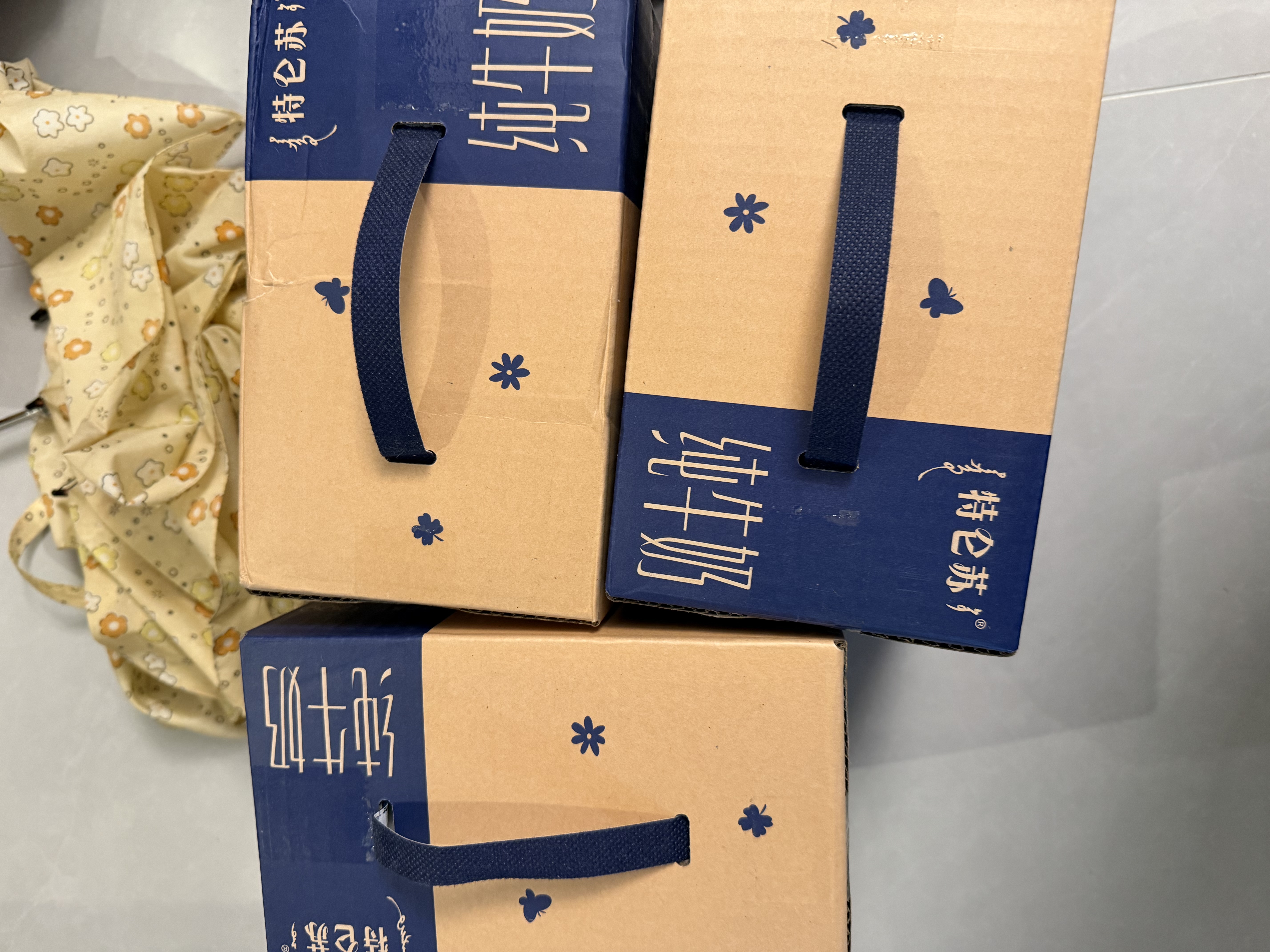 蒙牛【新鲜日期】特仑苏纯牛奶250ml*16盒 3.6g蛋白 礼盒 实拍图