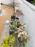 营养土养花种菜土壤有机兰花多肉植物盆栽种植椰砖土通用型 有机营养土20斤【园艺师专研配方 实拍图