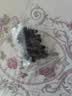赵家淡干海参 50g 8-15只 上品系列 红岛底播刺参 家庭装海鲜水产干货 实拍图