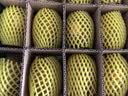 佳沛（zespri）新西兰金奇异果18粒优选果103-124g猕猴桃水果礼盒 实拍图