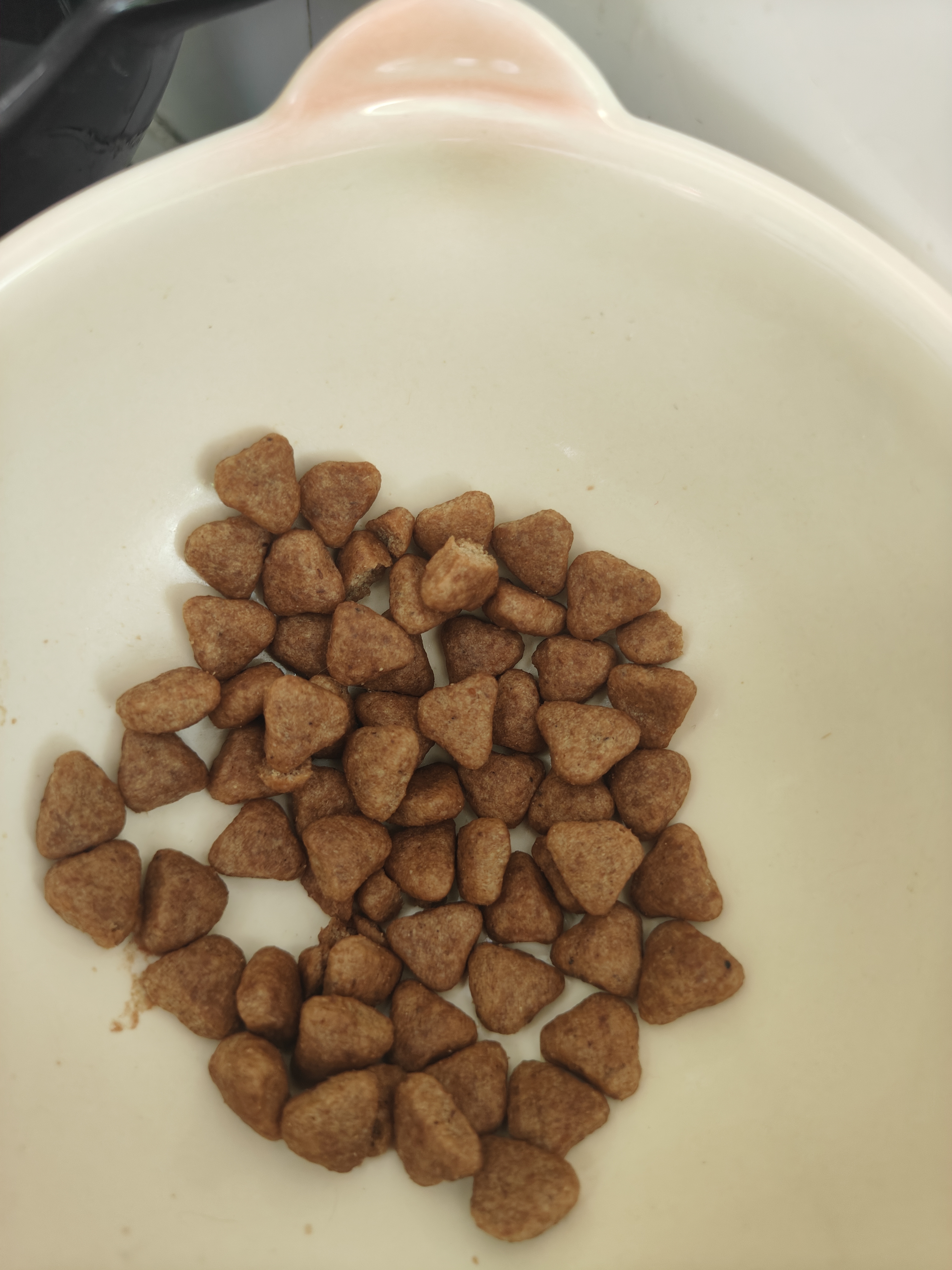 皇家猫粮 室内成猫粮 I27 通用粮 12月以上 2KG 实拍图