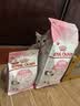 皇家猫粮 幼猫猫粮 幼猫奶糕 K36 通用粮 4-12月 2KG 实拍图