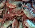 美加佳熟冻北极甜虾腹籽净重3斤 90/130规格  熟冻甜虾海鲜水产火锅聚餐 实拍图