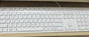 戴尔（DELL）KB216键盘有线商务办公键盘笔记本电脑台式机外接配件全尺寸静音键盘USB即插即用防泼溅（白色） 实拍图