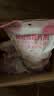 樱之花防蛀防霉片剂480g代替樟脑丸卫生球羊绒棉毛衣物鞋柜芳香味驱蛀虫 实拍图