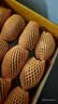 佳沛（zespri）新西兰金奇异果12粒特大果124-146g猕猴桃水果礼盒 实拍图