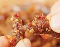 三只松鼠蜀香牛肉麻辣味400g零食夜宵牛肉干肉脯国庆团购送礼保真牛肉干 实拍图