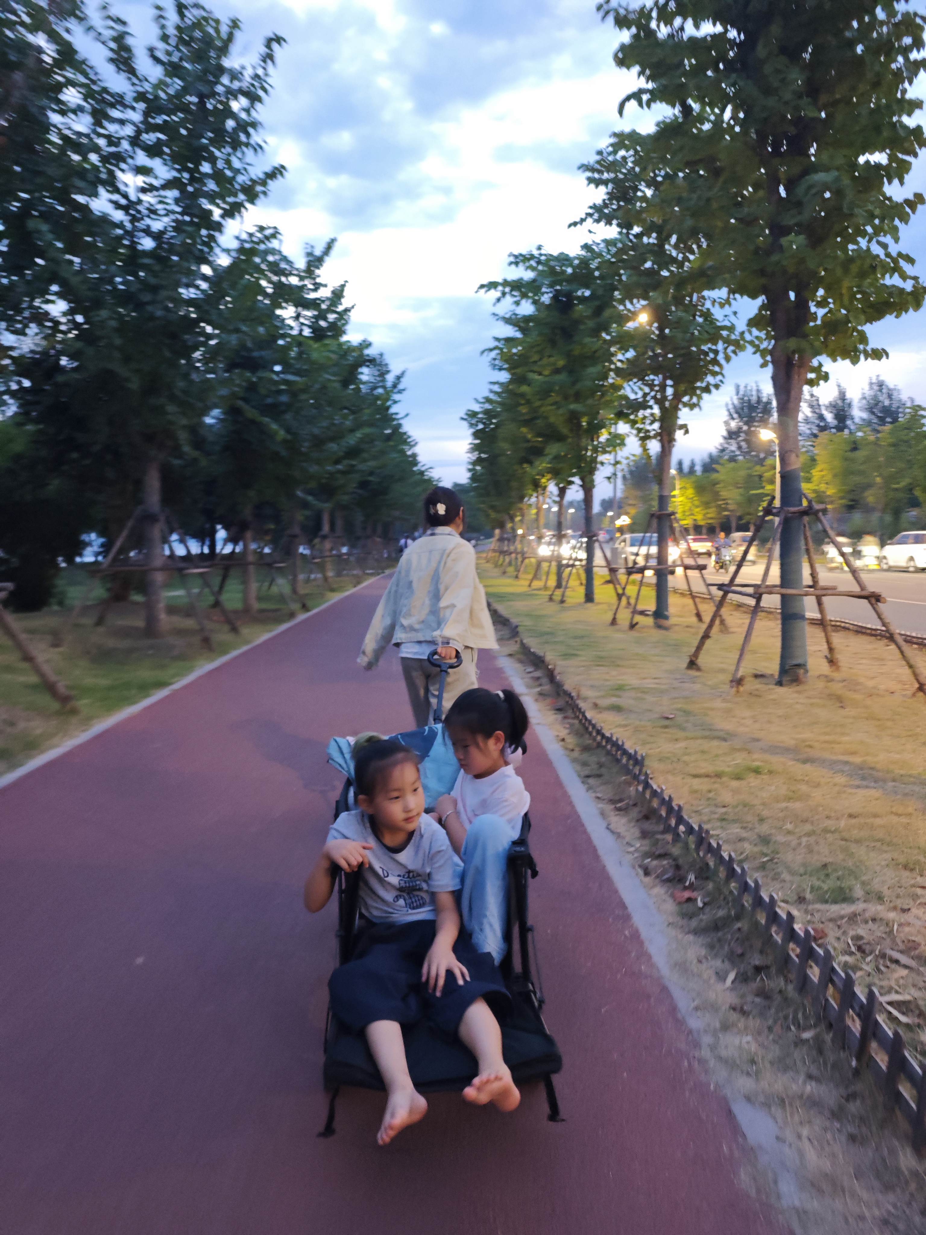京东京造 聚拢型户外露营车PRO【双刹后开门】折叠小推车营地车野餐拉车 实拍图