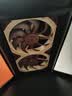 noctua NF-A14x25 G2 PWM Sx2-PP LS-PWM 二代A14 猫扇 14025 14CM LCP机箱散热风扇 智能温控 黑化A14 猫头鹰 A14x25 G2 PWM Sx2 实拍图