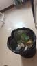 达利园法式软面包香奶味3斤整箱装零食糕点心早餐代餐 新老包装随机发货 实拍图