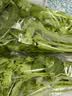 【火锅季】带根香菜100g 实拍图