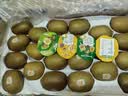 佳沛（zespri）新西兰金奇异果22粒巨大原箱146-175g猕猴桃中秋节礼品送水果礼盒 实拍图