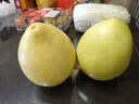 【火锅季】翡翠褶大白菜1.2kg 实拍图