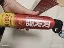 火焰战士 灭火器车载家车用干粉灭火器便携新能源消防器材1A21B增强型610G 实拍图