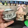 SANAG塞那S6S Ultra蓝牙耳机耳夹式气骨传导概念开放式不入耳运动跑步挂耳式超长续航无线AI耳机 实拍图