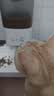 霍曼（Homerun）宠物智能自动喂食器猫粮定时猫咪自动投食机陶瓷双碗增高版PF20 实拍图