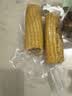 新鲜黄糯玉米真空包装速食玉米低脂粗粮代餐杂粮早餐包邮 福利专项 4棒 200g起/棒 实拍图