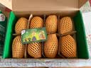 佳沛（zespri）新西兰金奇异果8粒特大果124-146g猕猴桃中秋节礼品送水果礼盒 实拍图