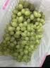 京鲜生【错过等1年】新疆无核白葡萄3.5-4斤 轻微掉粒介意慎拍 生鲜水果 实拍图