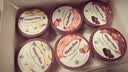 哈根达斯（Haagen-Dazs）6杯组合装 经典巧克力/香草/草莓100ml*6冰淇淋礼盒 量贩装 实拍图