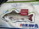 仙泉湖三去白蕉海鲈鱼400g/条净膛冷冻刺少肉厚特产海鲜水产生鲜食材 实拍图
