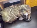 华亚（HUAYA） 哑铃男士杠铃套装可调节环保包胶手铃亚玲家用运动锻炼健身器材 一副两只总重40kg旗舰款【一款七用】 实拍图