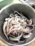 美加佳阿根廷三去鱿鱼须500g 去牙去头去脏鱿鱼爪 海鲜水产火锅聚餐 实拍图