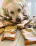 NOW FRESH无谷草颗粒全犬成犬狗粮 50g试吃装 效期27/8 实拍图