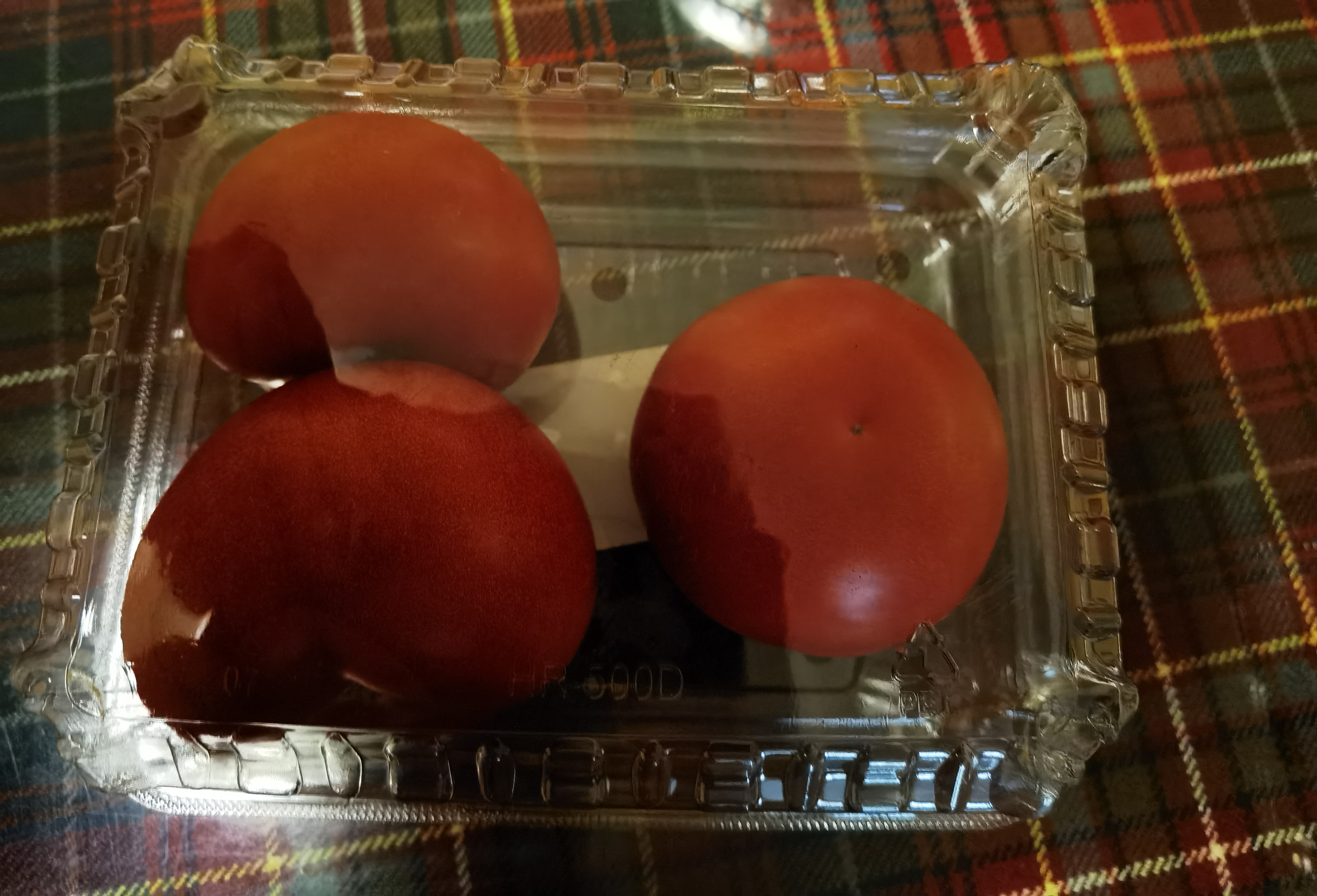 西红柿约550g 实拍图