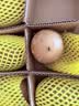 佳沛（zespri）新西兰金奇异果8粒特大果124-146g猕猴桃中秋节礼品送水果礼盒 实拍图