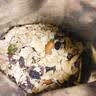 福事多红豆薏米茯苓燕麦片1kg低脂高纤懒人即食早餐冲饮饱腹代餐谷物 实拍图