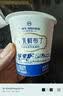 1号会员店（One's Member） 牛乳鲜布丁 100g*8 甜品下午茶 解馋休闲零食 实拍图