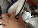 南极人（Nanjiren）记忆棉乳胶床垫0.9x1.9米学生宿舍榻榻米单人宿舍床垫子软床褥子 南极人-菱格白【厚约5cm】 90x190cm【耐压回弹 不易塌陷】 实拍图