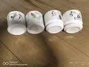 裕轩堂花盆陶瓷家用吊兰蝴蝶兰绿萝带托盘大号个性阳台简约多肉室内套装 网红组合（四个中号）A款 中等 实拍图