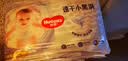 好奇（Huggies）金装小黑洞拉拉裤XL35片(12-17kg)尿不湿【速干不易红】 实拍图