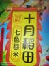 十月稻田 七色糙米 5斤 糙米饭 粗粮主食 黑米 粥米 五谷杂粮米 大米搭档 实拍图