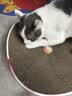 小佩方形猫抓板窝 磨爪器瓦楞纸 猫抓板猫窝一体窝垫猫爪板猫咪玩具 梦幻极光-尺寸：40x40x10cm 实拍图