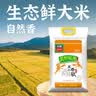 太粮靓虾软米20斤油粘米南方长粒籼米大米10kg当季新米家庭装 实拍图