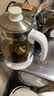 金灶（KAMJOVE） 养生壶煮茶器喷淋式煮茶炉白茶壶黑茶壶办公室家用蒸汽煮茶壶1L 白色 1L 实拍图