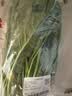 大菠菜300g 实拍图