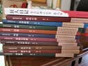 全11册 鲁迅全集 朝花夕拾呐喊彷徨野草狂人日记花边文学诗歌集南腔北调集淮风月谈故事新编且介亭杂文 实拍图