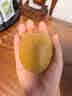 佳沛（zespri）x1号会员店联名款阳光金奇异果20粒礼盒单果约146-175g水果猕猴桃 实拍图