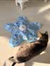 光多拉猫咪玩具五角星捕猎罩1200毫安时自动幼猫转盘逗猫棒宠物自嗨玩具 实拍图