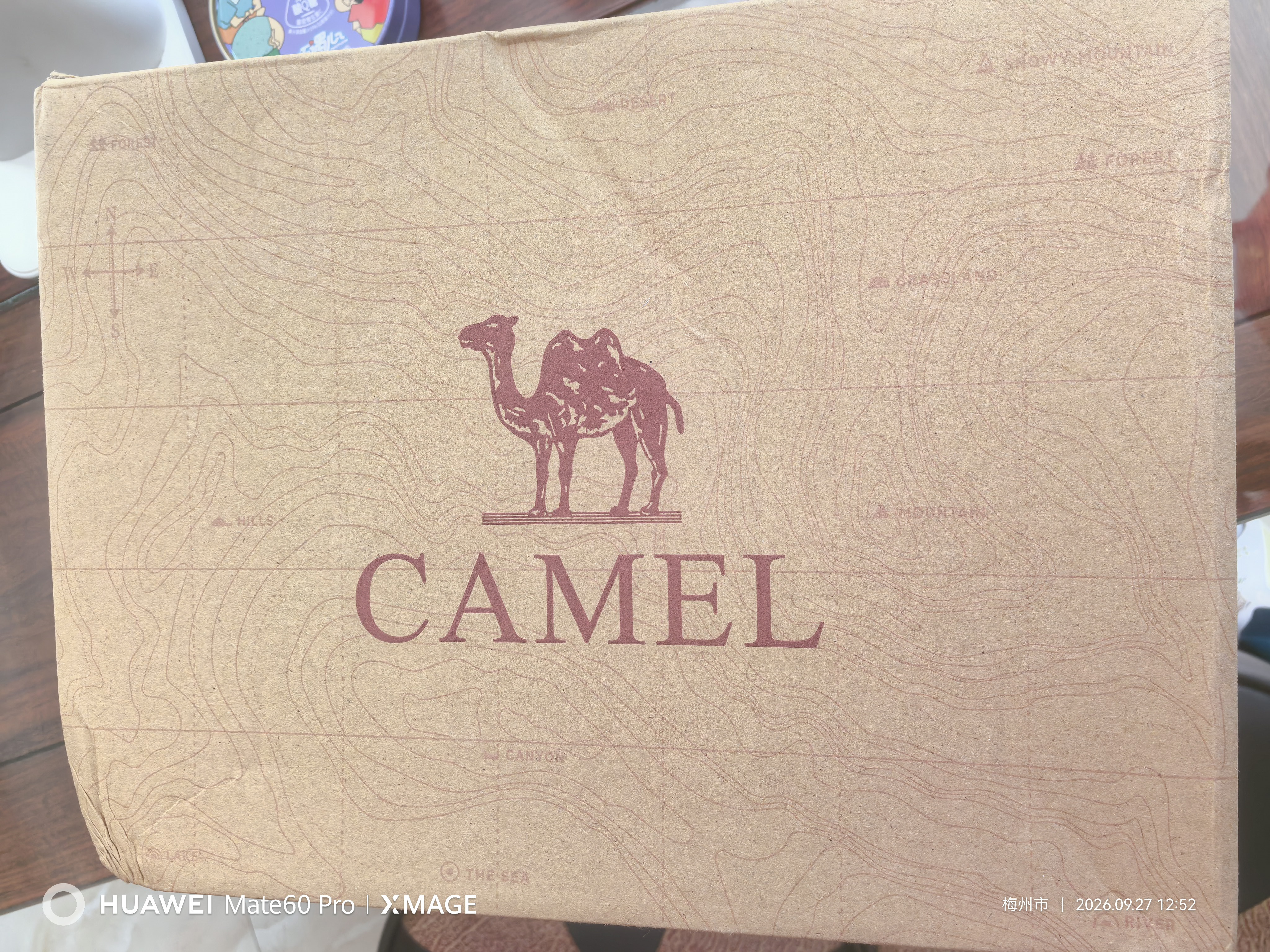 骆驼（CAMEL）追光者运动鞋秋季新款女士鞋复古通勤休闲百搭透气减震慢跑步鞋子 实拍图