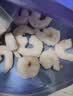 GUO LIAN国联 翡翠生虾仁海鲜去冰净重2斤 156-198只 中秋聚餐 实拍图