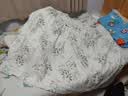 洁丽雅（Grace）7A抗菌100%纯棉四件套新疆棉床上用品床单被套200*230cm1.5/1.8米床 实拍图