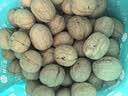 楼兰蜜语京觅甄选新疆薄皮核桃2.5kg/箱原味纸皮送礼礼盒坚果特产零食 实拍图